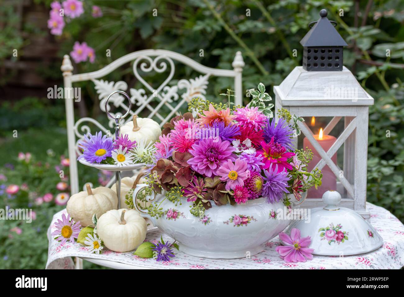 arrangement floral avec dahlias roses et violets et asters dans une soupe vintage et des citrouilles blanches Banque D'Images
