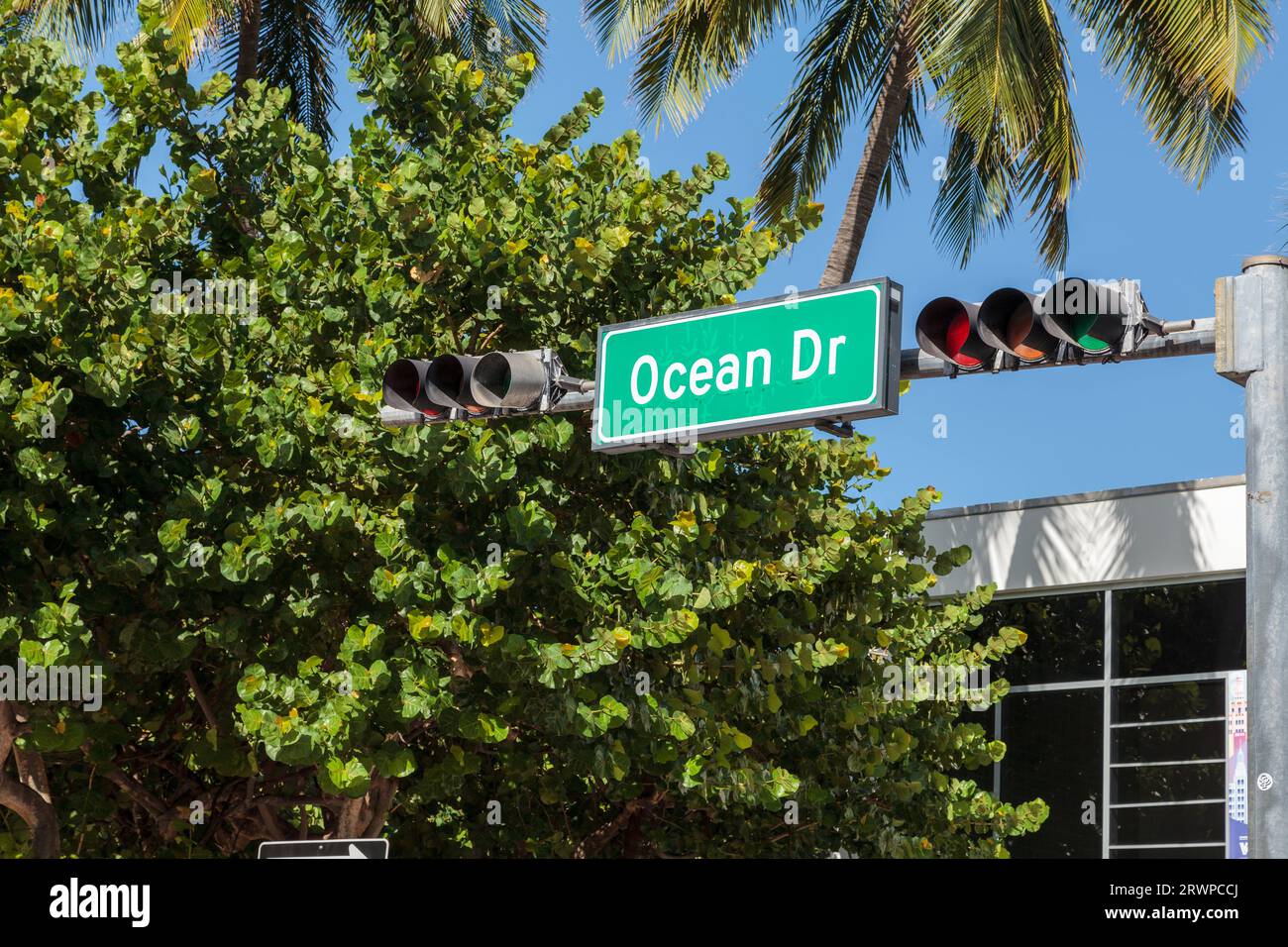 Ocean Drive, ville de Miami Beach, Floride, USSA : nom de la route, feu de circulation et portique contre les arbres verts et le ciel bleu Banque D'Images