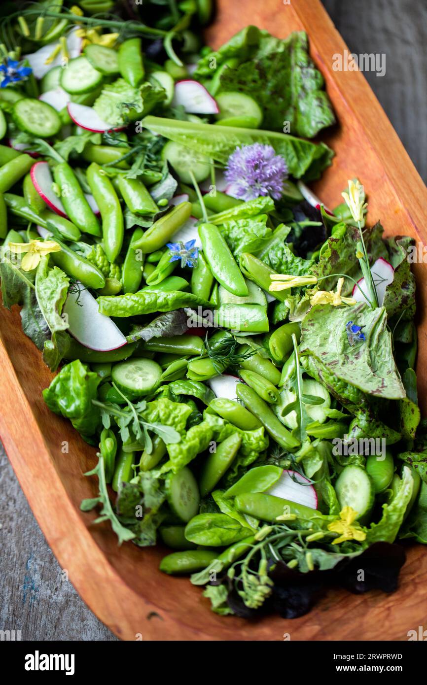 Salade estivale aux pois de printemps Banque D'Images
