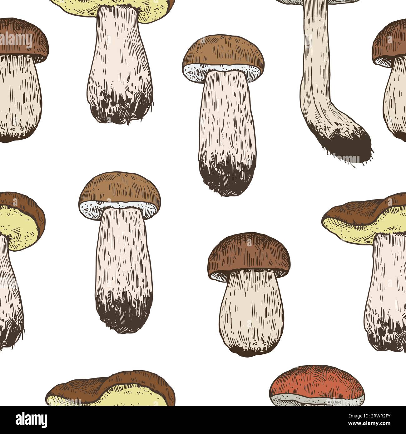 Motif sans couture avec des champignons dans le style de gravure rétro. Imprimé vintage dessiné à la main pour le design et le textile. Illustration de Vecteur