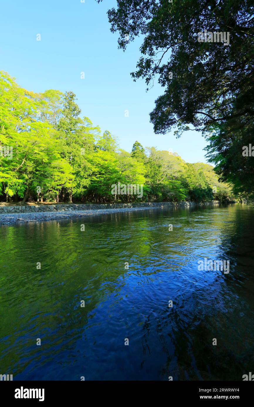 Rivière Isuzu Gotearai-JO, sanctuaire intérieur d'ISE Jingu le matin Banque D'Images