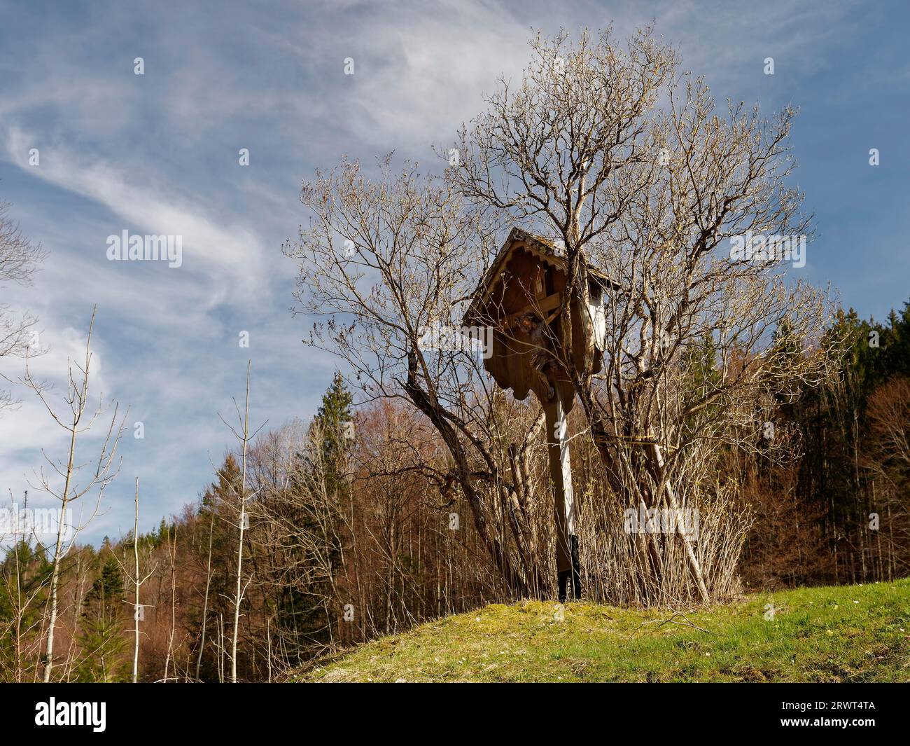 Croix en bois avec le Christ dans un buisson devant une forêt, Bavière Banque D'Images