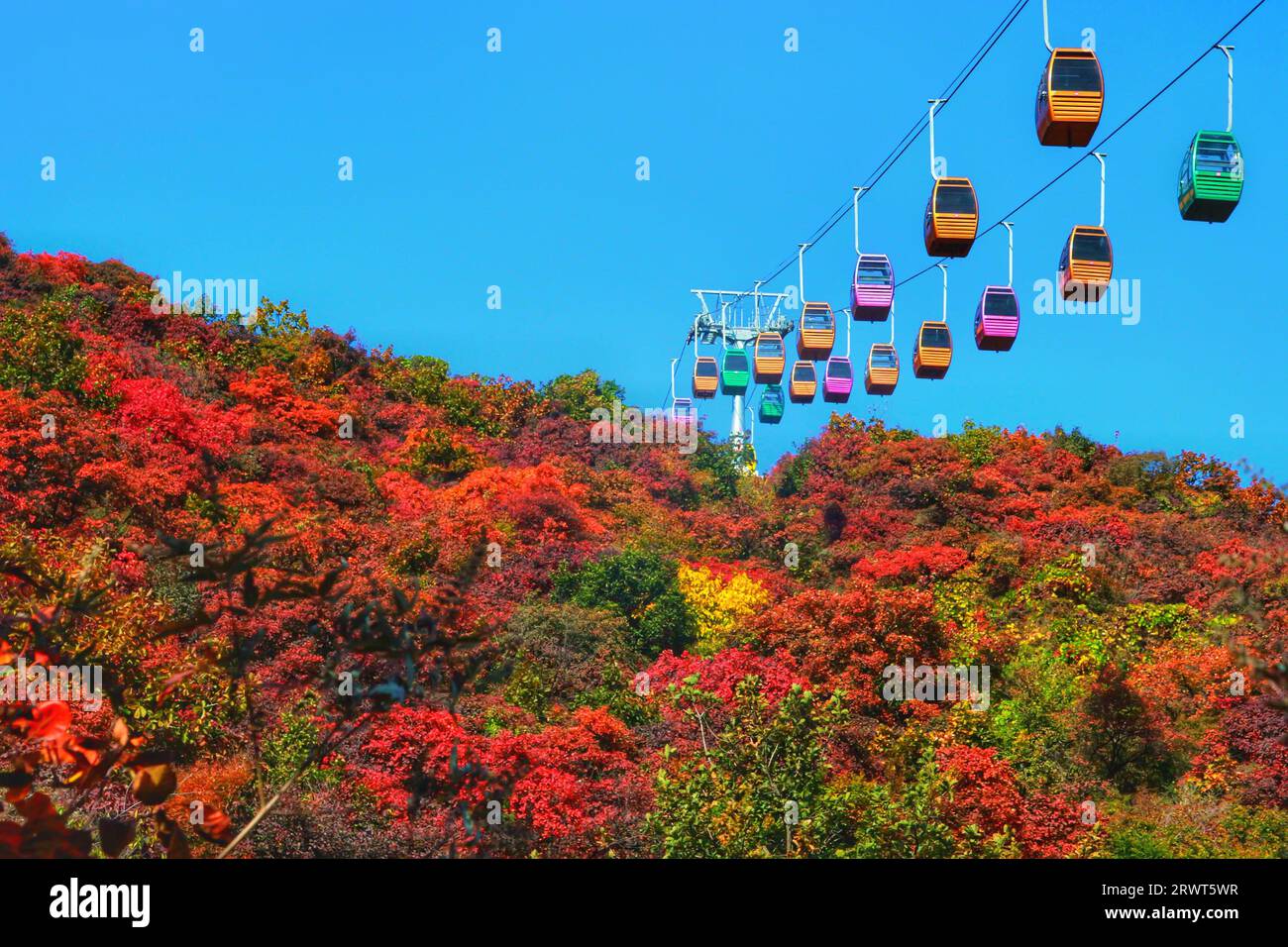 Capturez la magie de la nature tandis que les herbes rouges et vertes vibrantes créent des contrastes époustouflants sur fond de montagnes majestueuses de Chine Banque D'Images