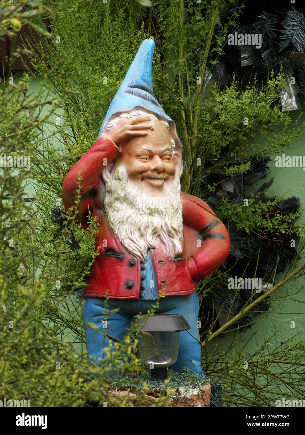 Grand gnome de jardin avec bonnet pointu bleu clair, veste rouge et pantalon bleu dans la verdure Banque D'Images
