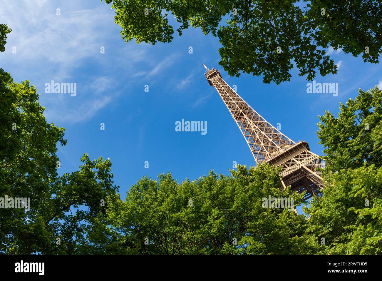 La Tour Eiffel, une tour en treillis en fer forgé sur le champ de Mars à Paris, en France photographiée à travers les arbres pendant une journée d'été. Banque D'Images