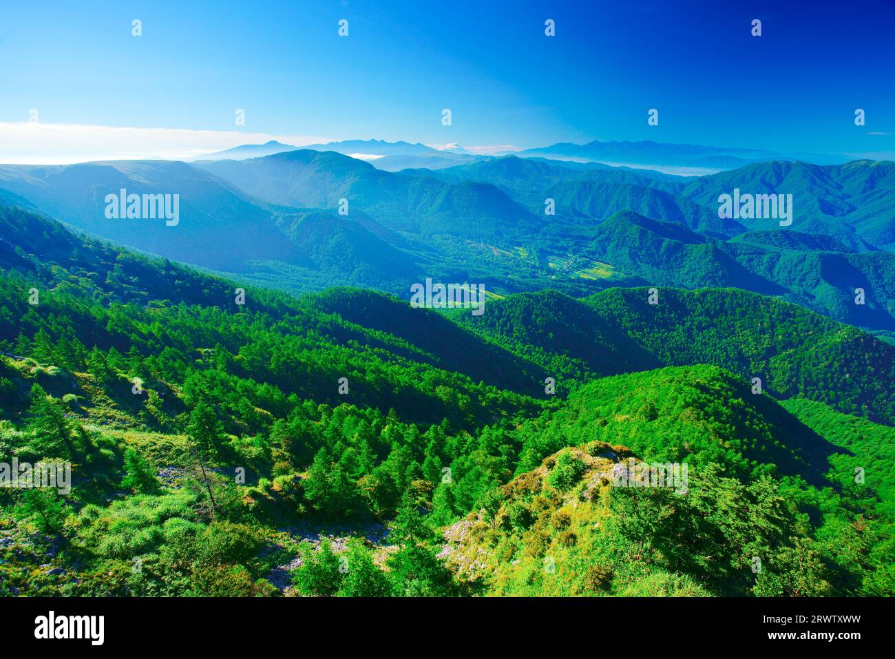 Groupe volcanique du sud yatsugatake Banque de photographies et d