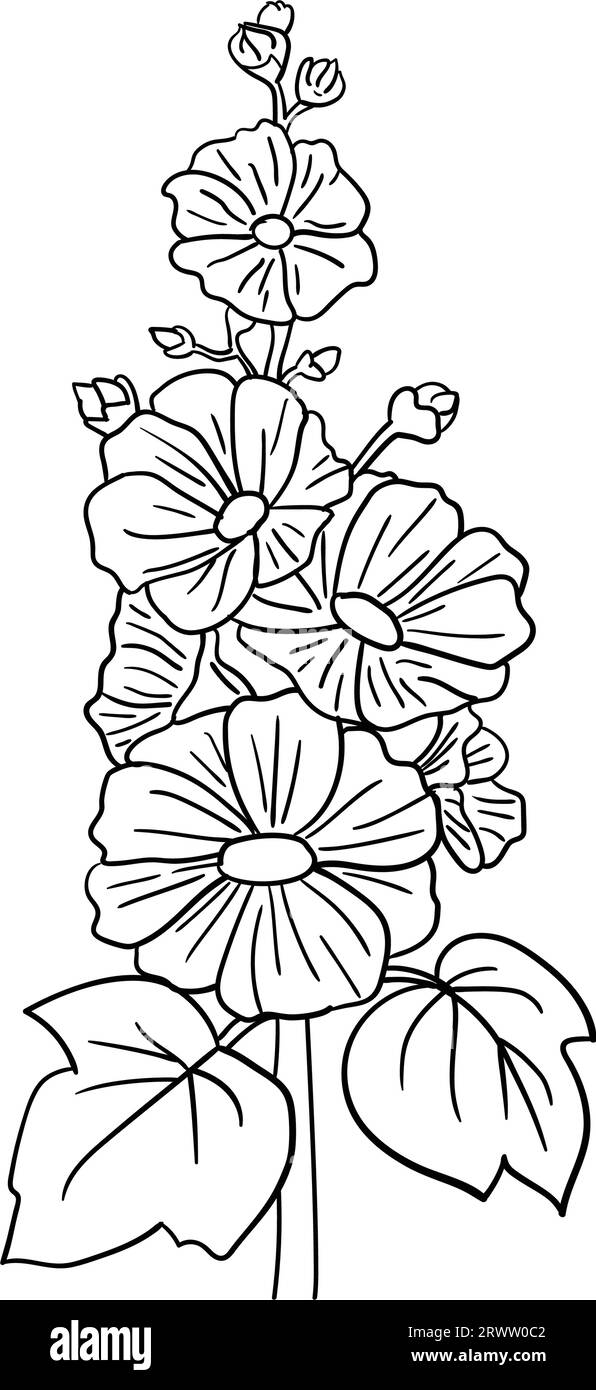 Vecteur dessiné à la main malva ou alcea rosea fleurs, illustration vectorielle Illustration de Vecteur