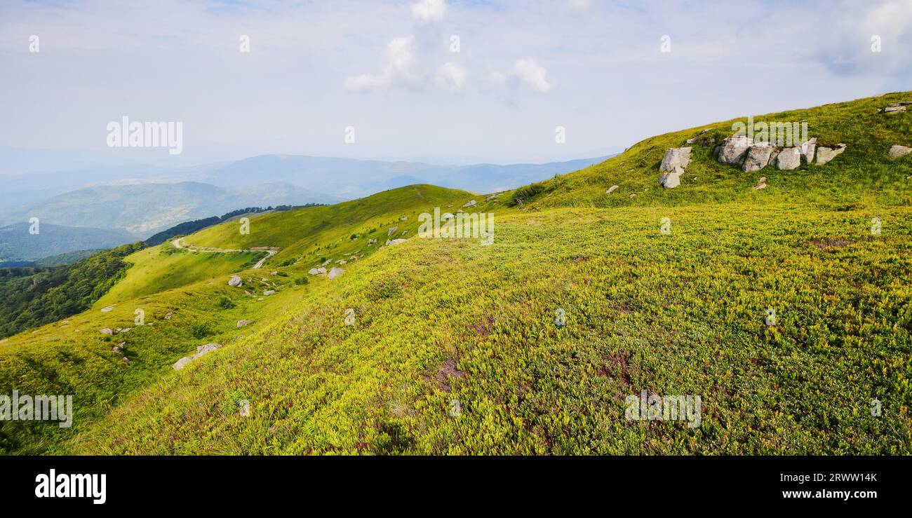 paysage de prairie herbeux des montagnes ukrainiennes. nature alpine des carpates en été. matin ensoleillé avec des nuages sur le ciel Banque D'Images