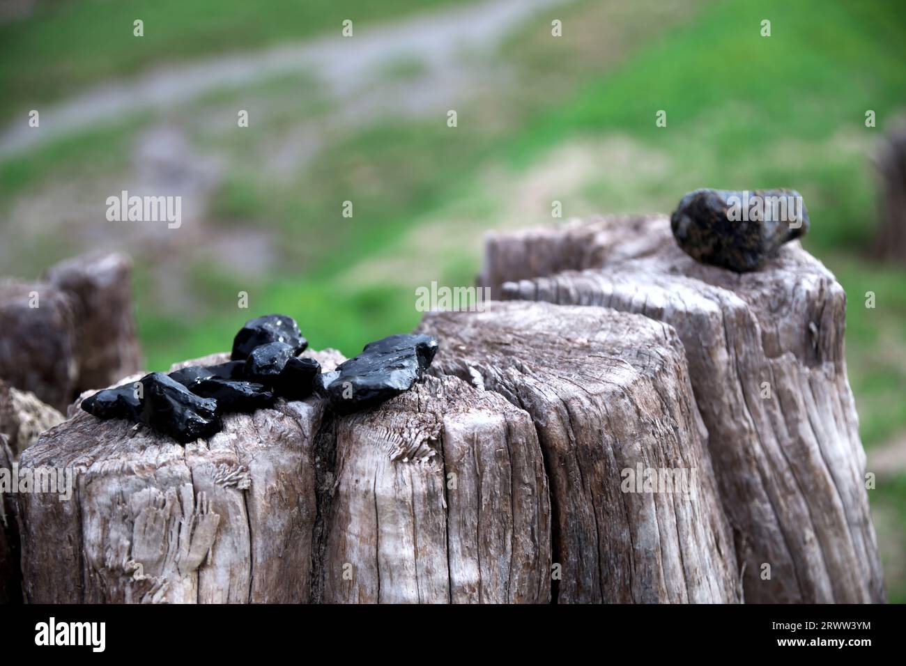 Souches et obsidiennes trouvées au fond du lac Nukabira Banque D'Images