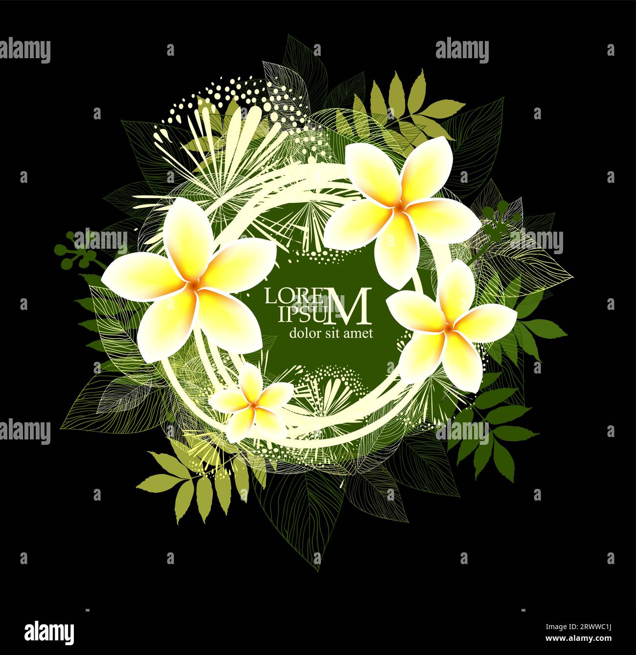 Cadre floral rond avec fleurs de plumeria. Illustration vectorielle Illustration de Vecteur