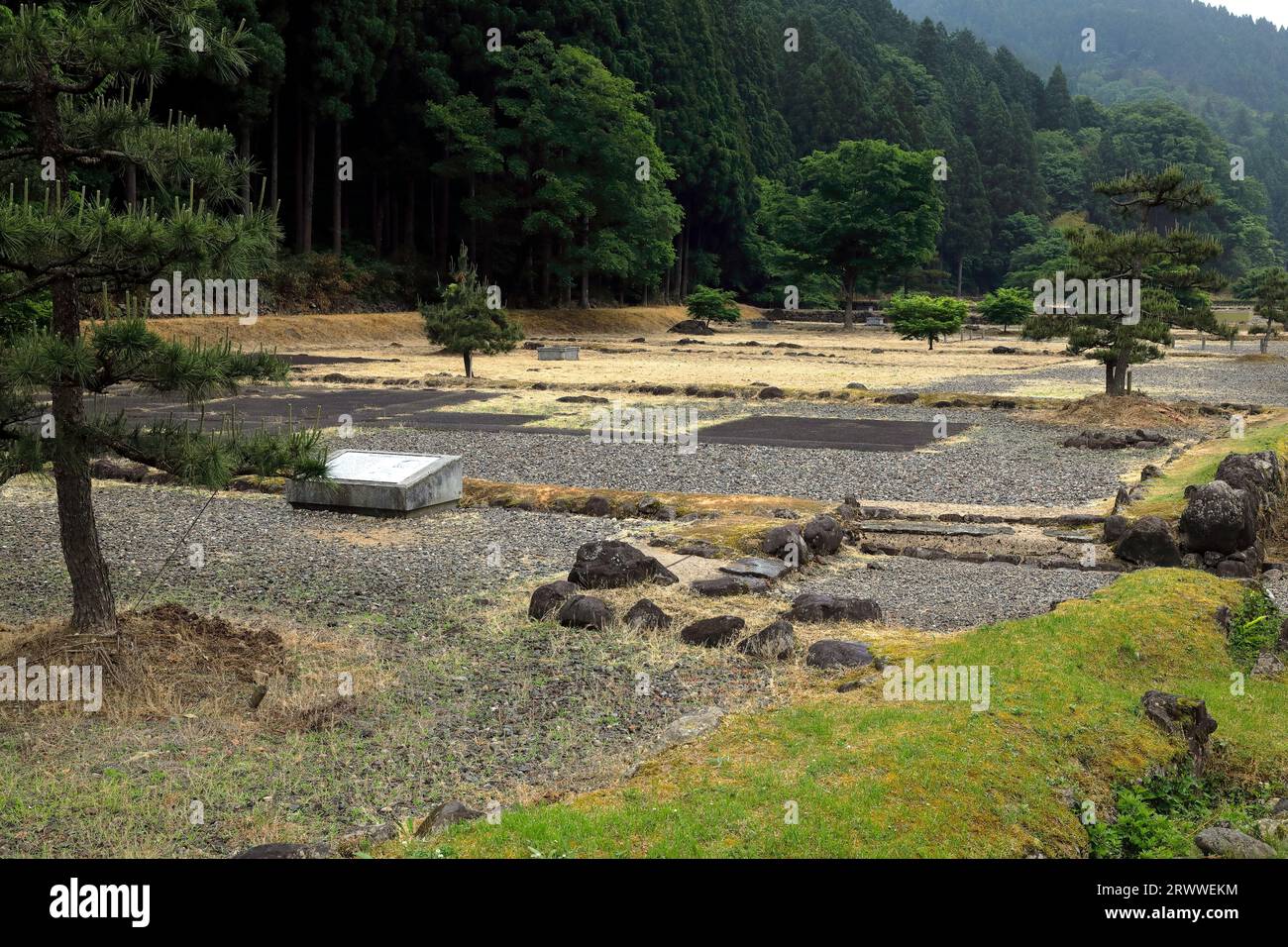Mai : ruines de la ville du clan Ichijodani Asakura Banque D'Images