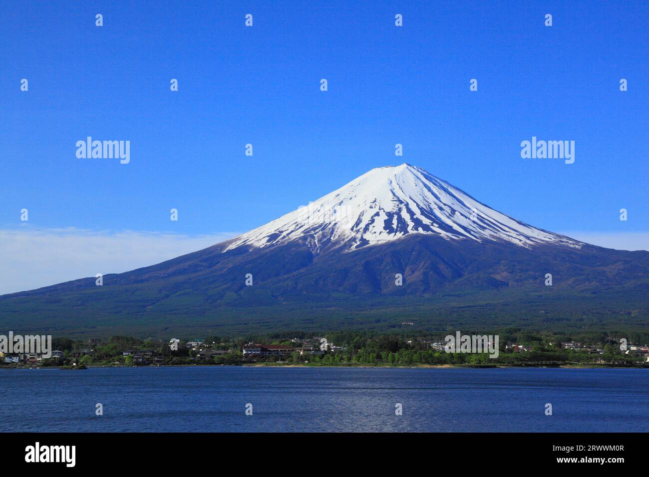 Fuji vu du parc Oishi au bord du lac Kawaguchi Banque D'Images