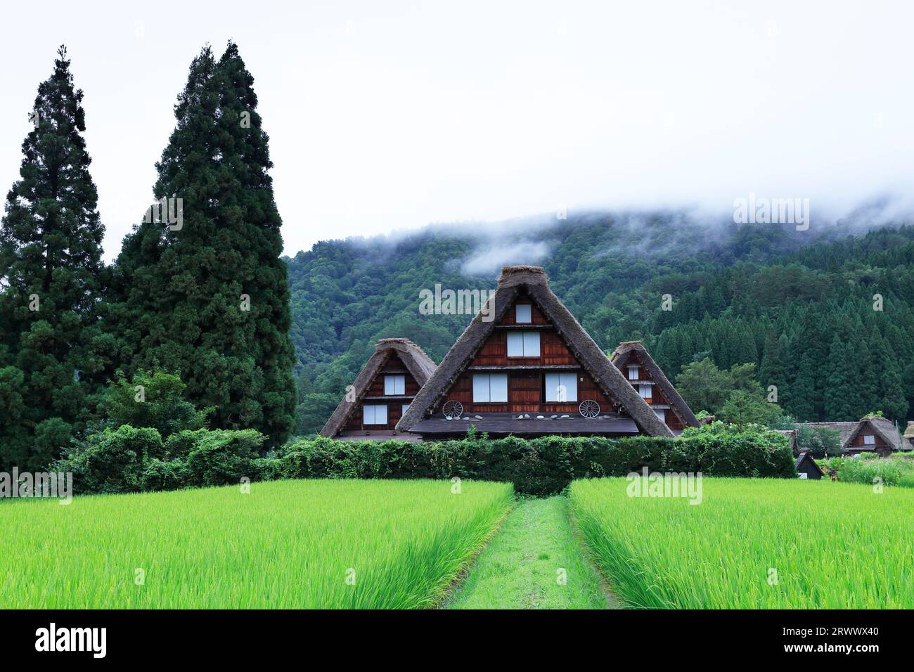 Shirakawa-Go en été, brume de montagne au-dessus du village de Gassho-zukuri Banque D'Images