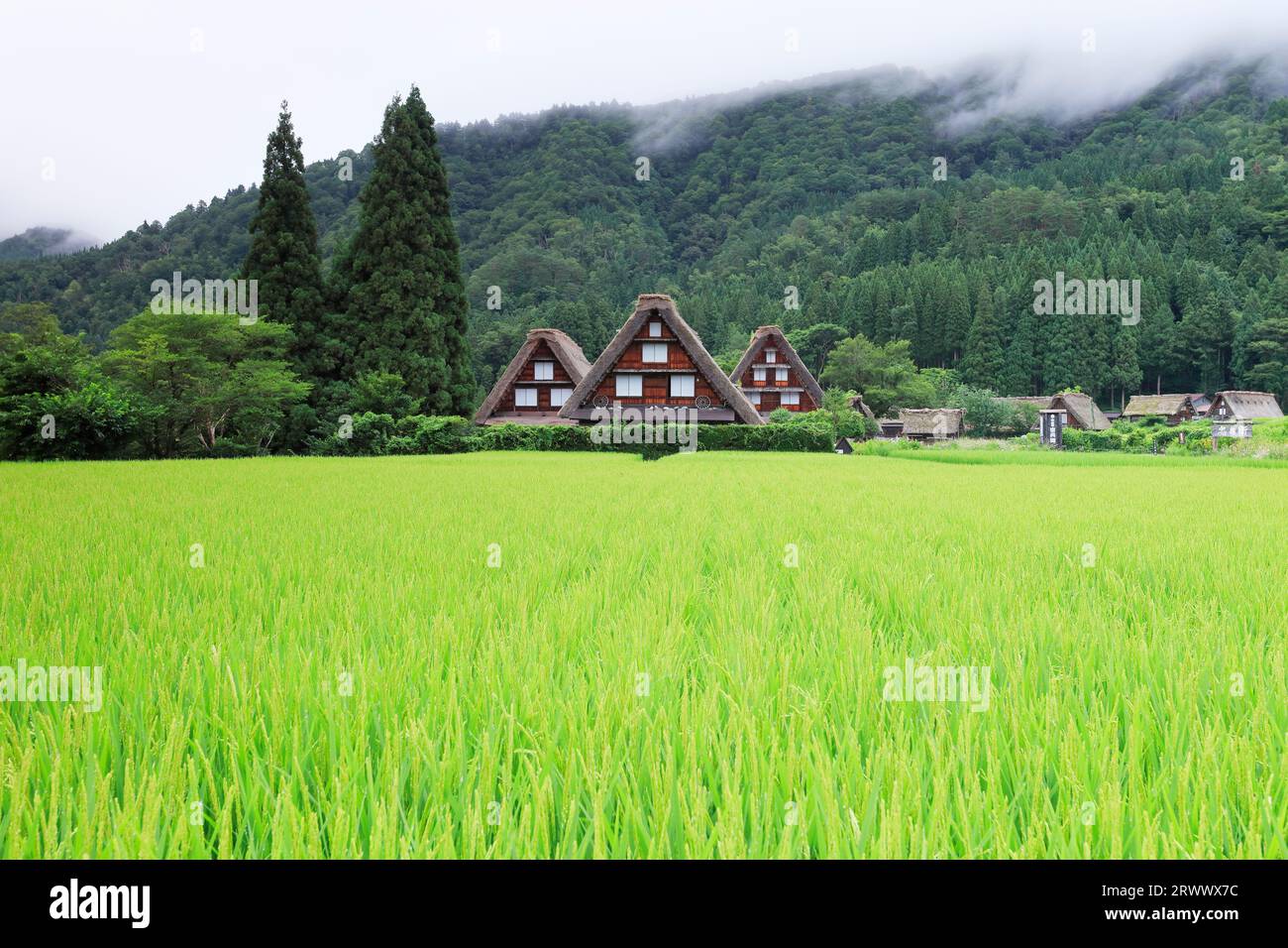 Shirakawa-Go en été, brume de montagne au-dessus du village de Gassho-zukuri Banque D'Images