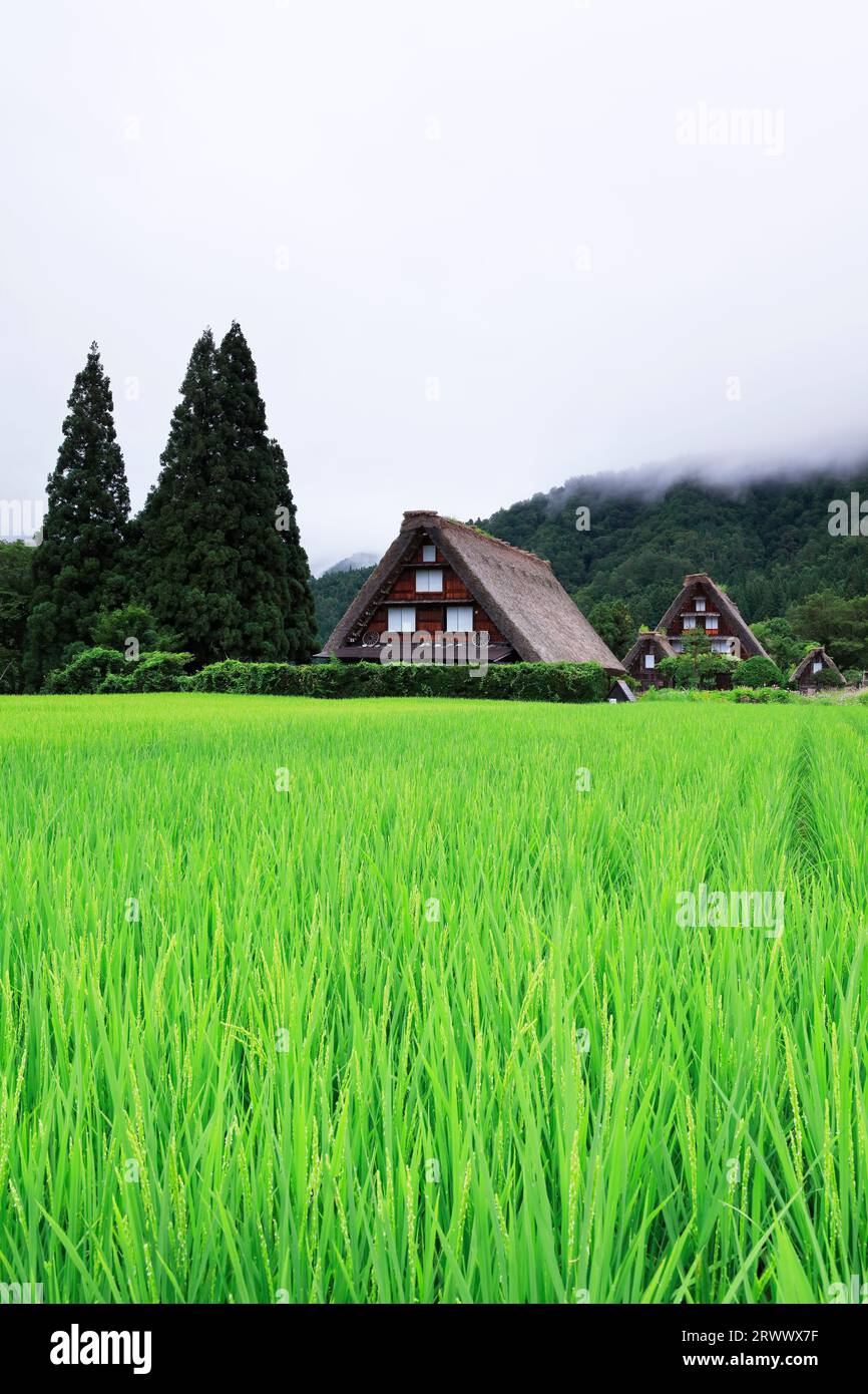 Shirakawa-Go en été, brume de montagne au-dessus du village de Gassho-zukuri Banque D'Images