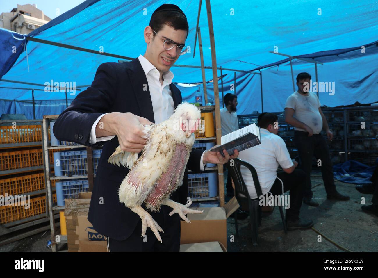 (230921) -- BNEI BRAK, 21 septembre 2023 (Xinhua) -- un juif ultra-orthodoxe tient un poulet blanc pour la cérémonie du Kaparot, où les poulets blancs sont abattus comme geste symbolique d’expiation avant Yom Kippour, le jour juif des expiations, à Bnei Brak, une banlieue de tel Aviv, Israël, le 20 septembre 2023. (Gideon Markowicz/JINI via Xinhua) Banque D'Images