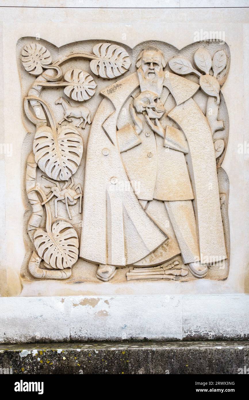 Sculpture moderniste en bas-relief représentant la biologie sur la façade de la Biblioteca Geral (Bibliothèque générale) de l'Université de Coimbra, Portugal Banque D'Images