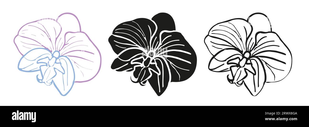 Silhouette tropicale d'orchidée, tête de fleur d'art de ligne. Illustration dessinée à la main de vecteur pour la conception de carte ou d'invitation, logo. Illustration de Vecteur Silhouette tropicale d'orchidée, tête de fleur d'art de ligne. Illustration dessinée à la main de vecteur pour la conception de carte ou d'invitation, logo. Illustration de Vecteur