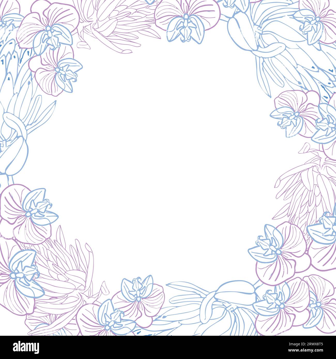 Roi tropical protea et orchidée cadre boarder, tête de fleur dessinée à la main en bleu pastel et rose. Fond vectoriel pour carte ou invit Illustration de Vecteur Roi tropical protea et orchidée cadre boarder, tête de fleur dessinée à la main en bleu pastel et rose. Fond vectoriel pour carte ou invit Illustration de Vecteur