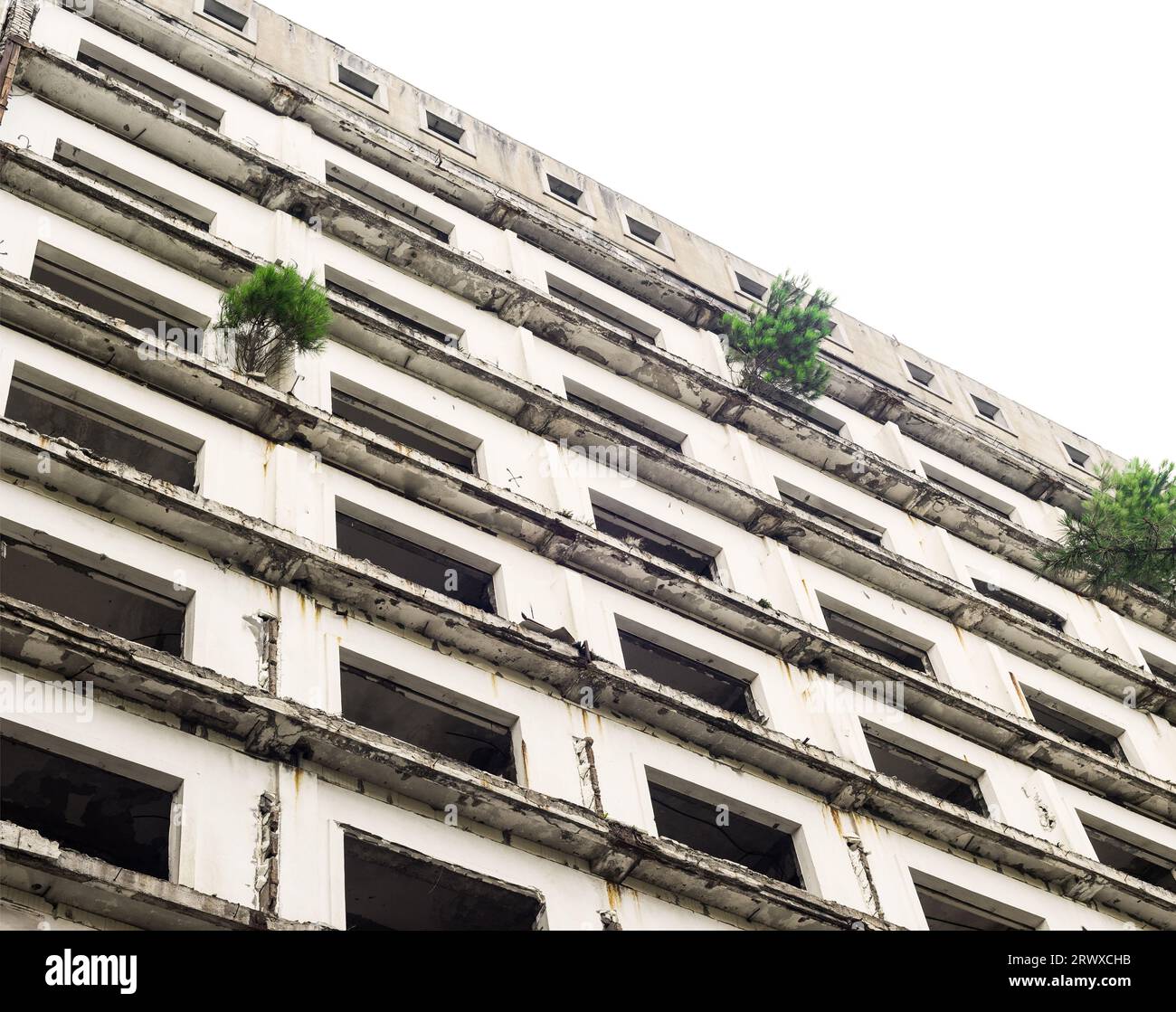 façade d'une maison d'appartements abandonnée avec des pousses de pins Banque D'Images
