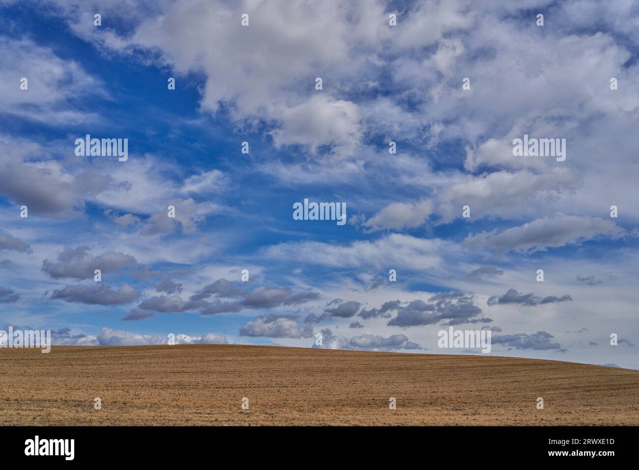 Septembre ciel bleu ensoleillé avec des nuages blancs pittoresques en basse Silésie Pologne Banque D'Images