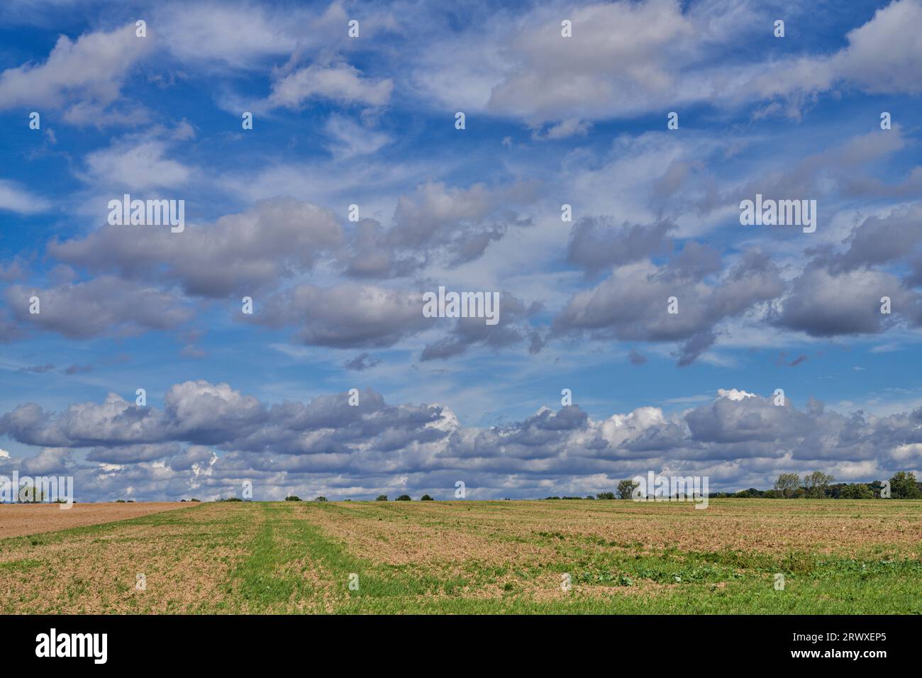 Septembre ciel bleu ensoleillé avec des nuages blancs pittoresques en basse Silésie Pologne Banque D'Images