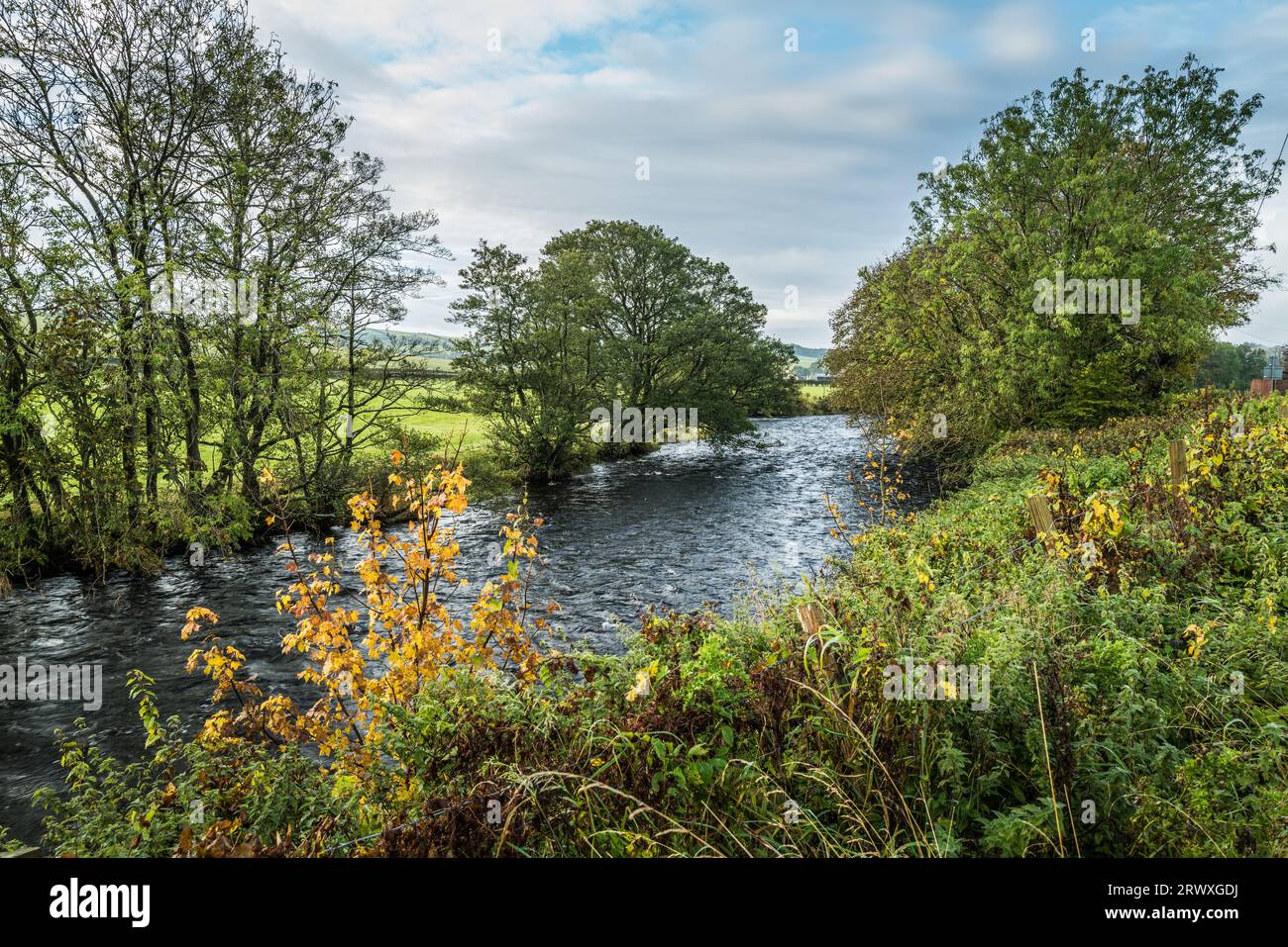 Vue d'automne des rives de la rivière Doon dans l'Ayrshire Banque D'Images