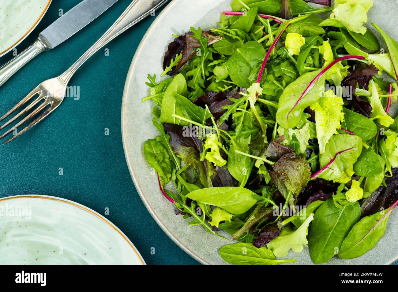 Salade verte fraîche et saine avec salade de laitue, chicorée, arugula. Aliments verts. Banque D'Images