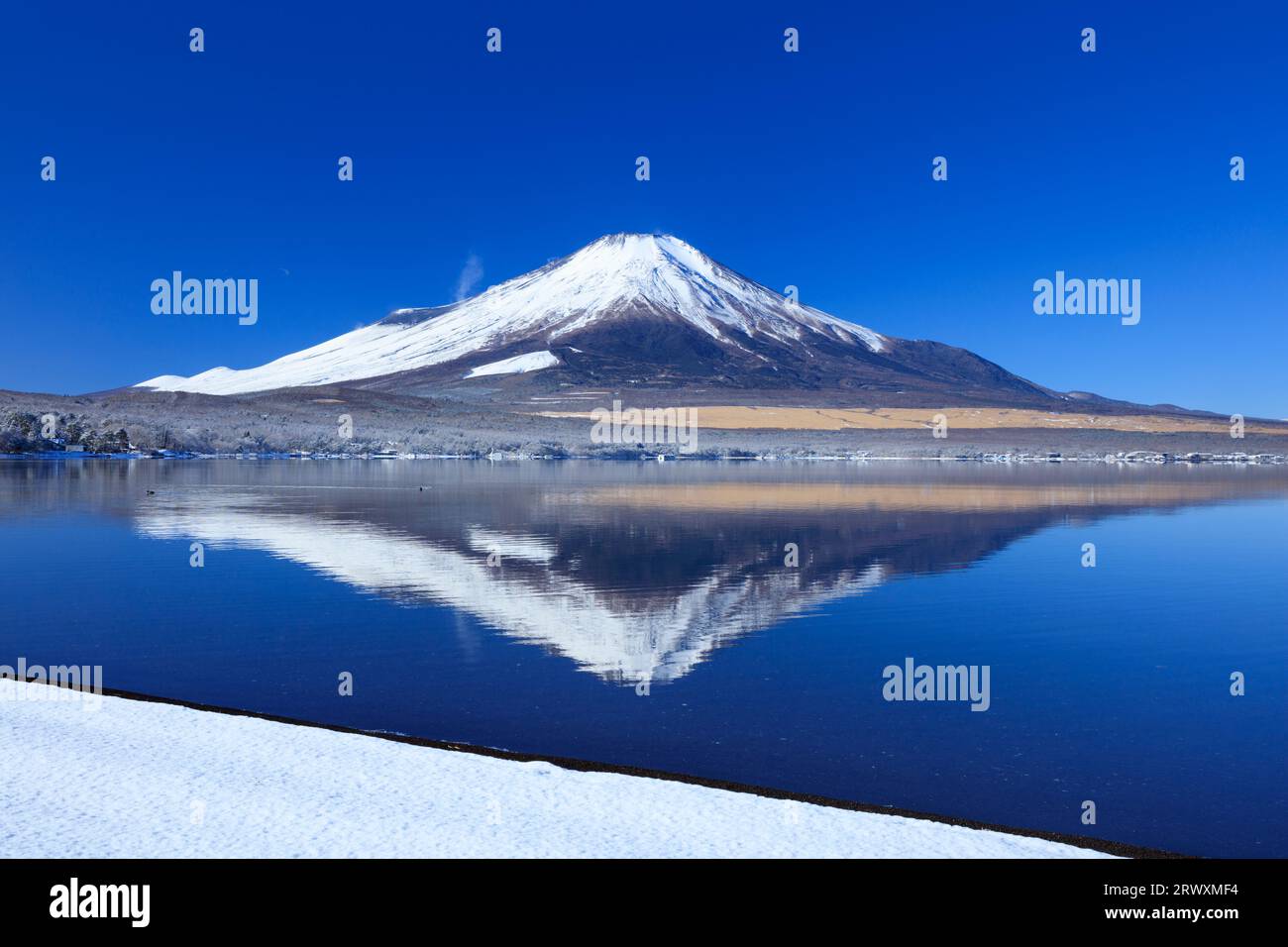 Lac Yamanakako et Mt. Fuji après la chute de neige Banque D'Images