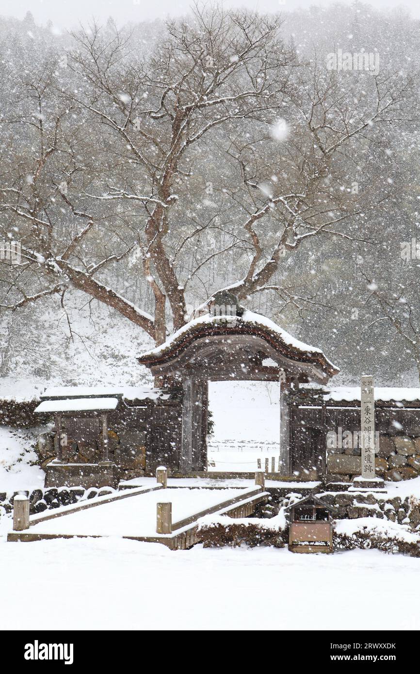 Chutes de neige sur le site du clan Ichijodani Asakura Banque D'Images