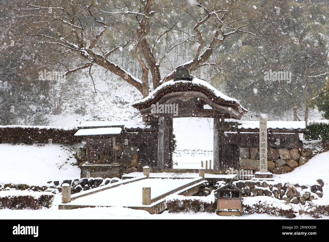 Chutes de neige sur le site du clan Ichijodani Asakura Banque D'Images