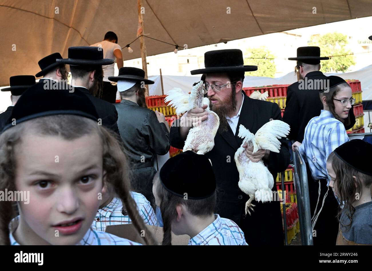 Jérusalem, Israël. 21 septembre 2023. Un juif ultra-orthodoxe porte deux poulets pour l’ancien rituel Kapparot à Mea Shearim à Jérusalem, le jeudi 21 septembre 2023. Kapparot est préformé avant Yom Kippour, le jour des Expiations, le jour le plus sacré du calendrier juif, et transfère symboliquement les péchés de l'année passée au poulet. Photo de Debbie Hill/ crédit : UPI/Alamy Live News Banque D'Images