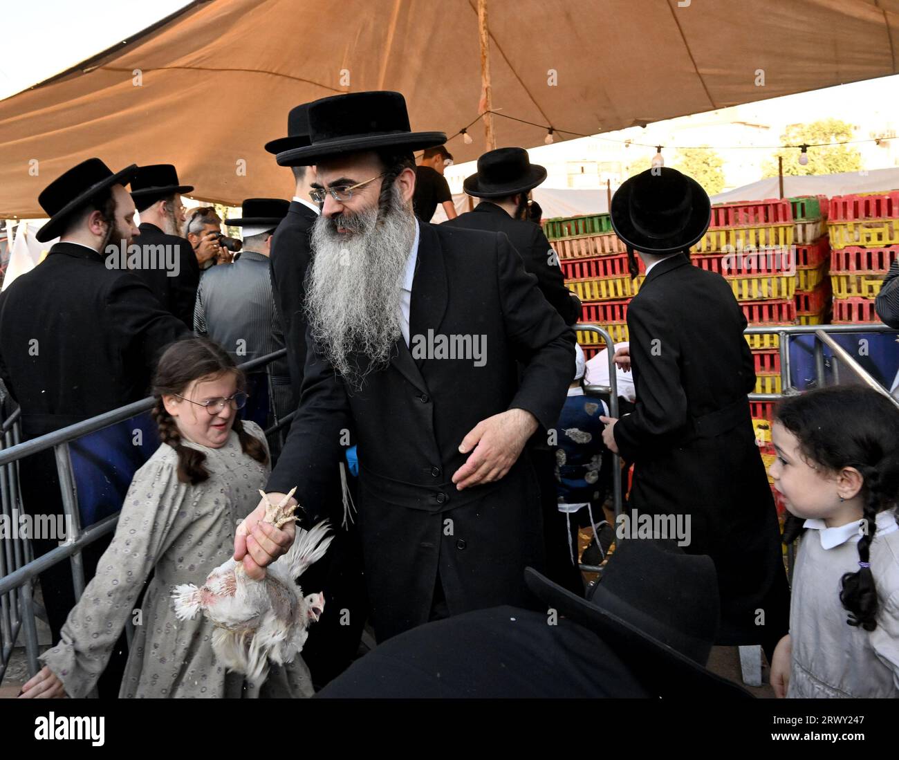 Jérusalem, Israël. 21 septembre 2023. Un juif ultra-orthodoxe porte un poulet pour l’ancien rituel Kapparot à Mea Shearim à Jérusalem, le jeudi 21 septembre 2023. Kapparot est préformé avant Yom Kippour, le jour des Expiations, le jour le plus sacré du calendrier juif, et transfère symboliquement les péchés de l'année passée au poulet. Photo de Debbie Hill/ crédit : UPI/Alamy Live News Banque D'Images