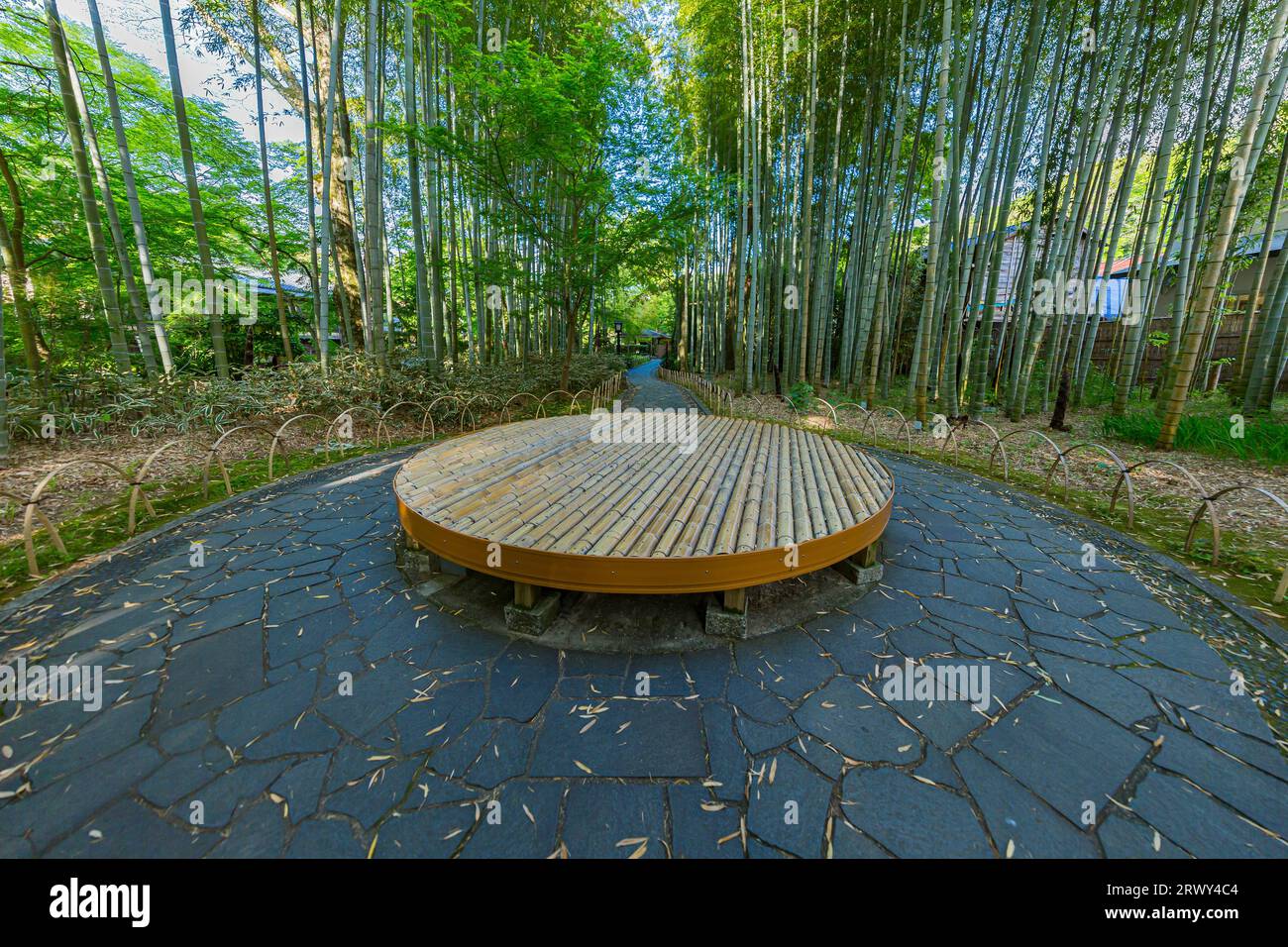 Shuzenji OnsenLe chemin à travers le bosquet de bambous entouré de verdure fraîche et le banc rond placé dans la place centrale Banque D'Images