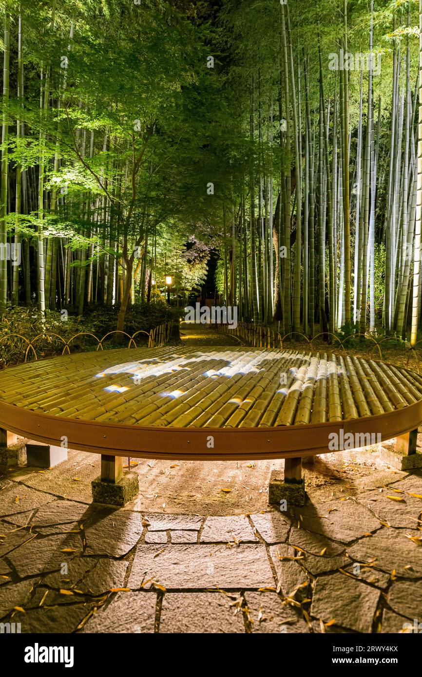 Shuzenji OnsenLe chemin à travers le bosquet de bambous entouré de verdure fraîche et de bancs circulaires illuminés sur lesquels est projeté l'art découpé en papier Banque D'Images