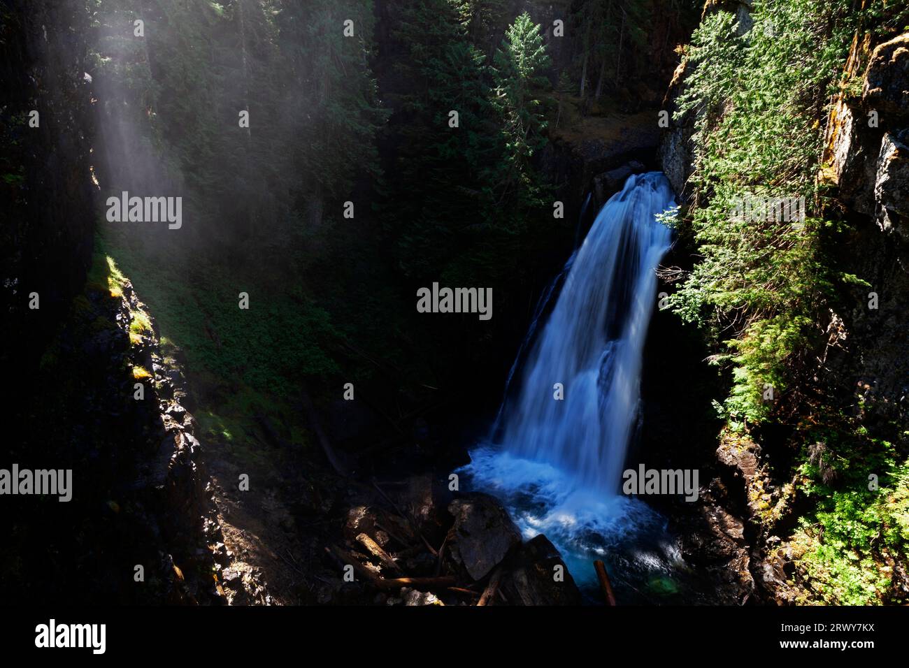 Lady Falls dans le parc provincial Strathcona sur l'île de Vancouver en Colombie-Britannique, Canada. Banque D'Images