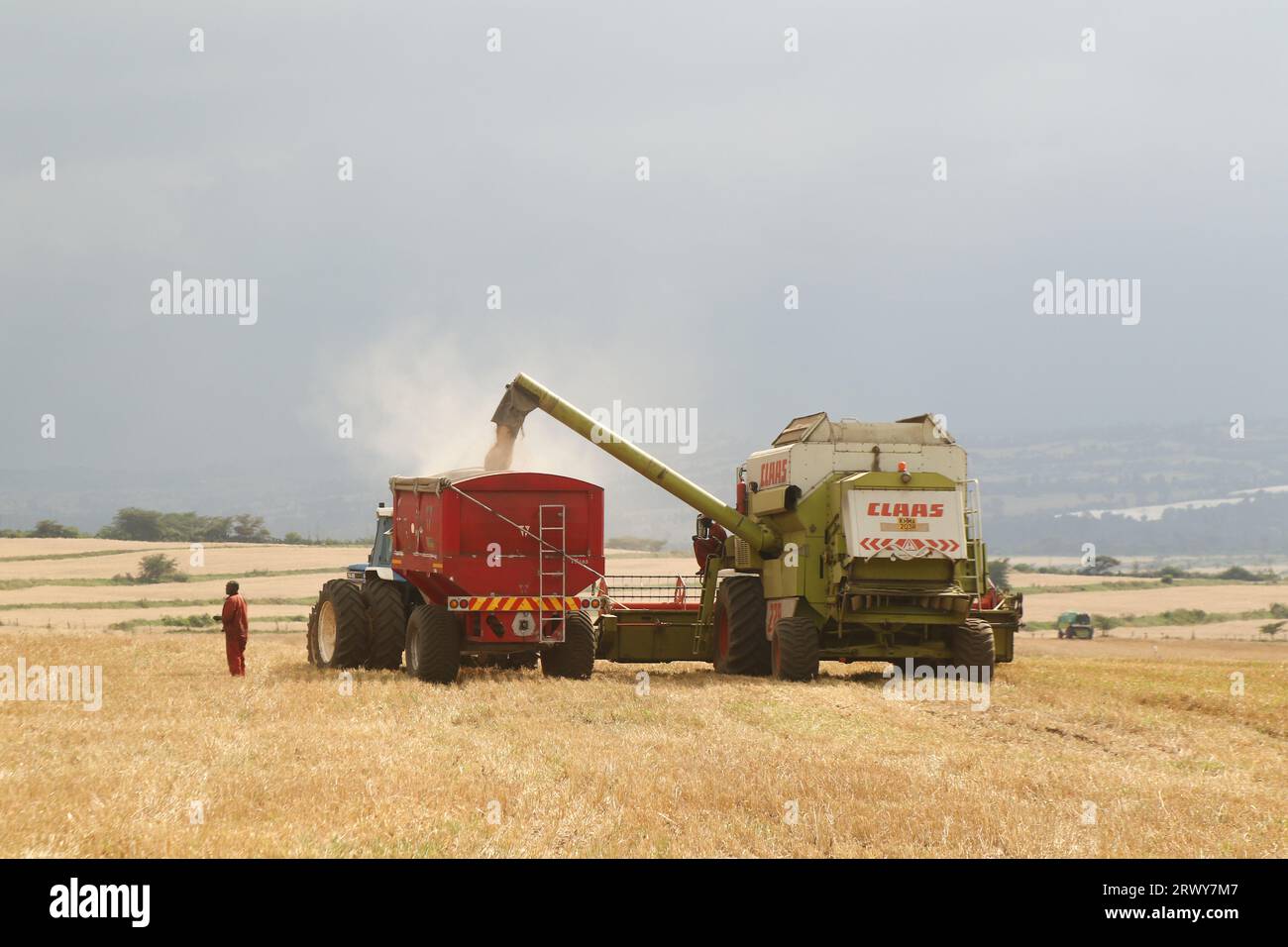 Une moissonneuse-batteuse décharge le grain de blé fraîchement récolté dans une remorque de tracteur en attente à Rongai, près de Nakuru City. En marge de l’Assemblée générale des Nations Unies en cours à New York, le président du Kenya William Ruto, après avoir eu des entretiens avec le président ukrainien, Volodymyr Zelensky, a déclaré que l’Ukraine allait mettre en place un hub céréalier au port de Mombasa pour faire face à la pénurie alimentaire en Afrique de l’est. Le Kenya compte sur les pays producteurs de céréales comme l’Ukraine pour compléter le blé récolté localement. (Photo de James Wakibia/SOPA Images/Sipa USA) Banque D'Images