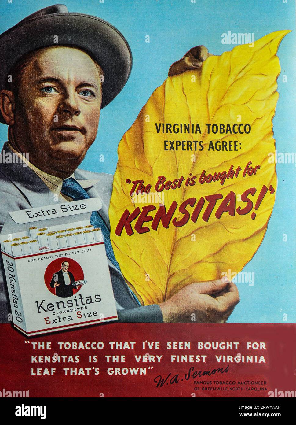 Une publicité de 1950 pour Kensitas cigarettes-Extra Size. Mettant en vedette un commissaire-priseur de tabac qui déclare que le tabac qu’il a vu acheté pour Kensitas «est la plus belle Virginia Leaf qui est cultivée». Les cigarettes Kensitas sont toujours produites. La marque appartient au Groupe Gallaher. Banque D'Images