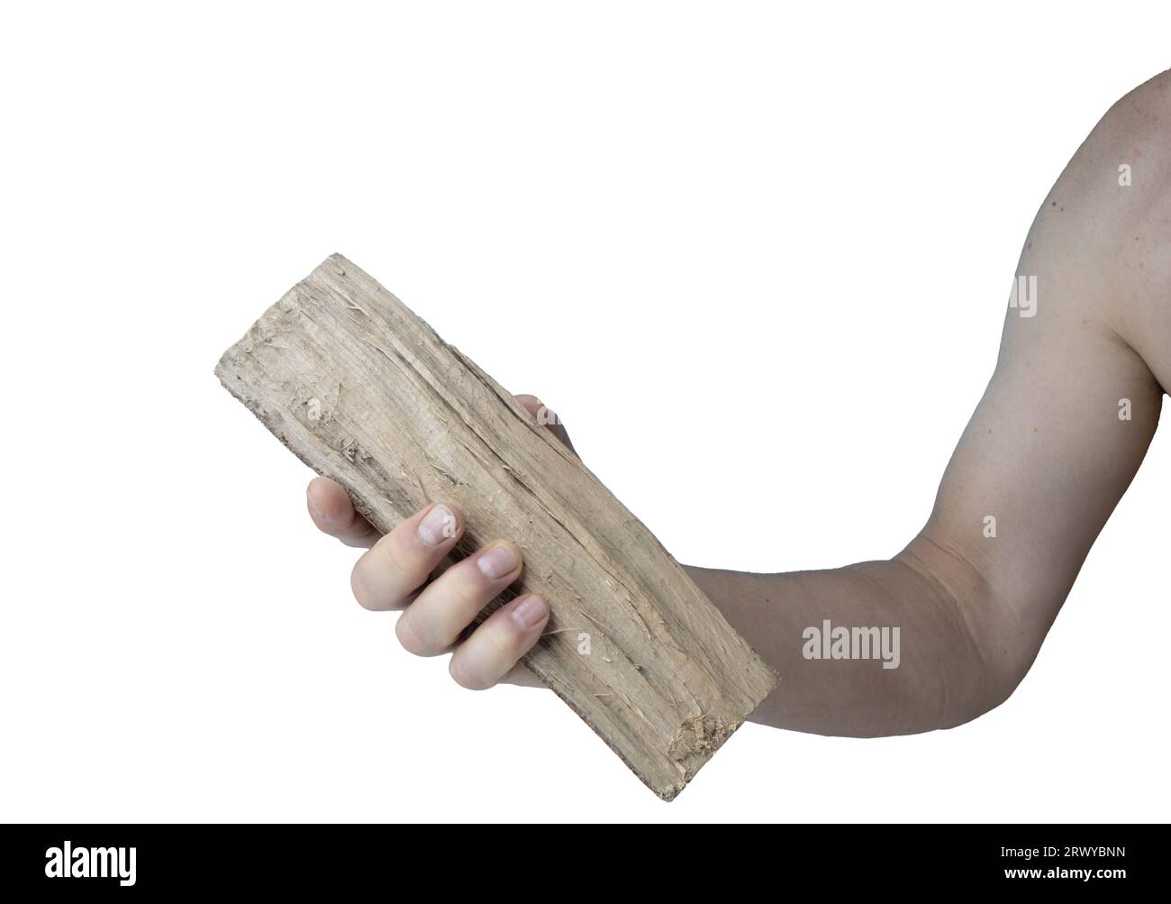 bois de chauffage dans la main sur une surface transparente Banque D'Images