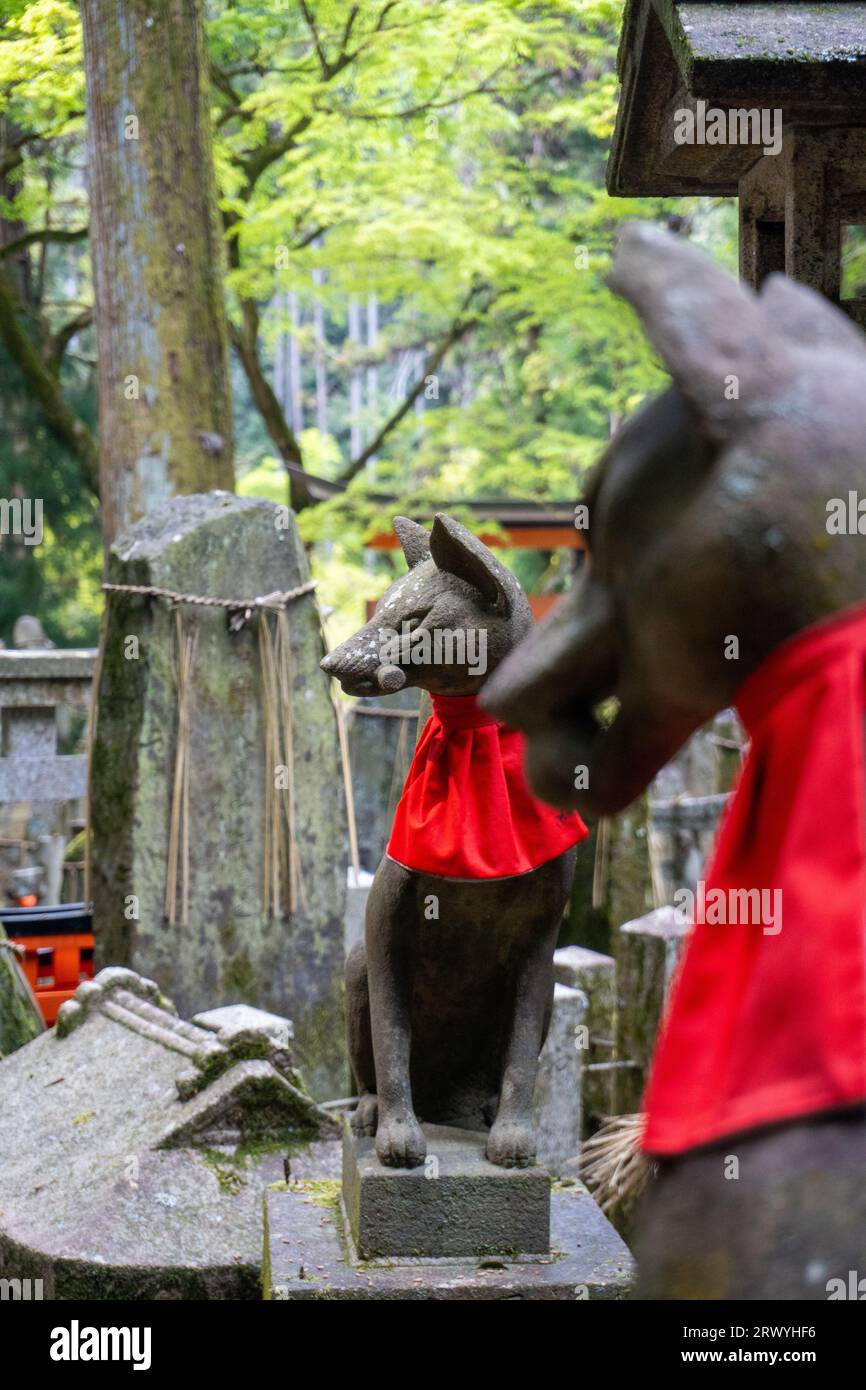 Statues Inari assis au sommet d'une tombe à la montagne Inari à Kyoto Banque D'Images
