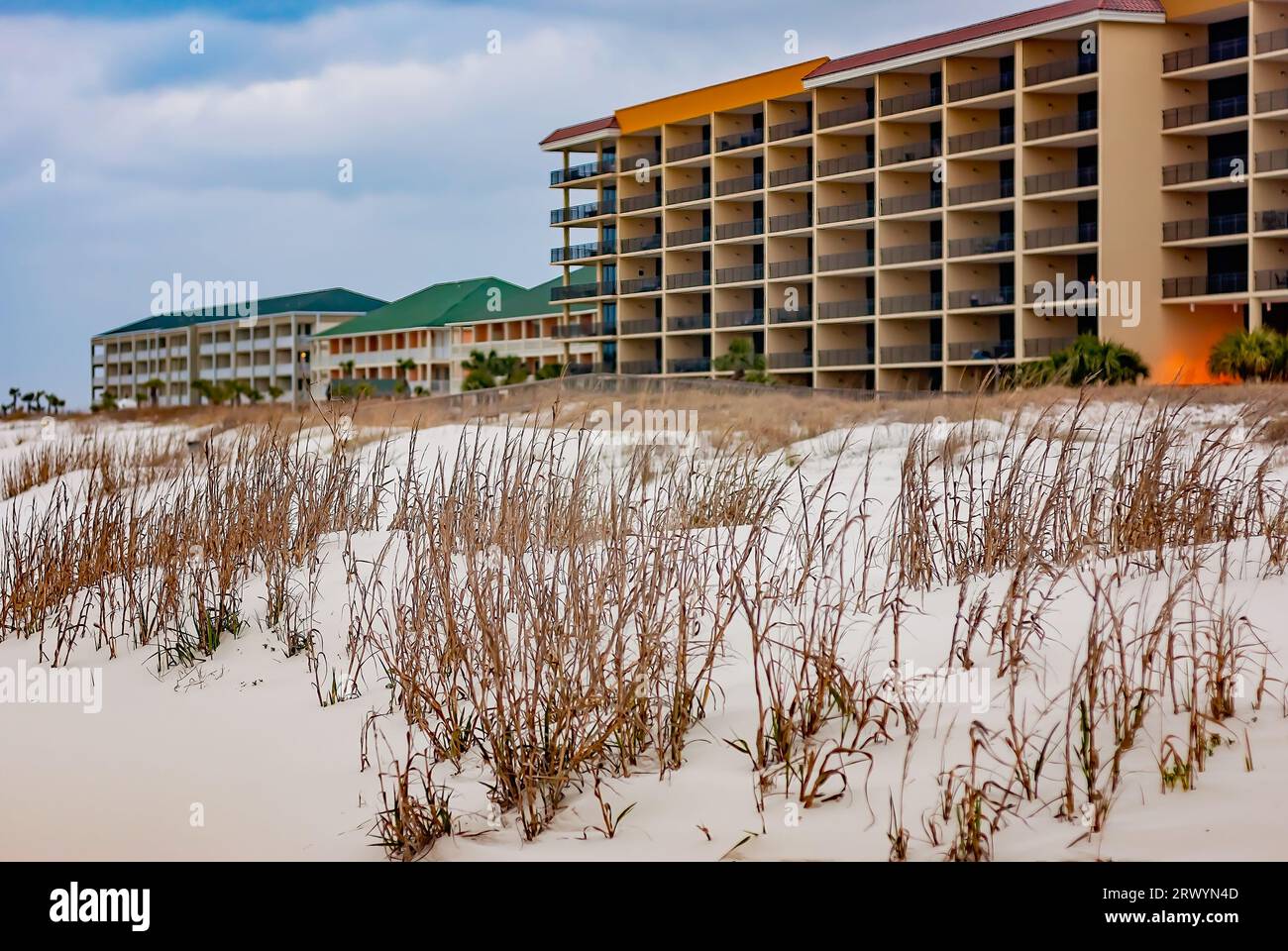 L'avoine de mer (Uniola paniculata) et les dunes de sable sont photographiées devant des condominiums, le 21 mars 2010, à Dauphin Island, en Alabama. Banque D'Images
