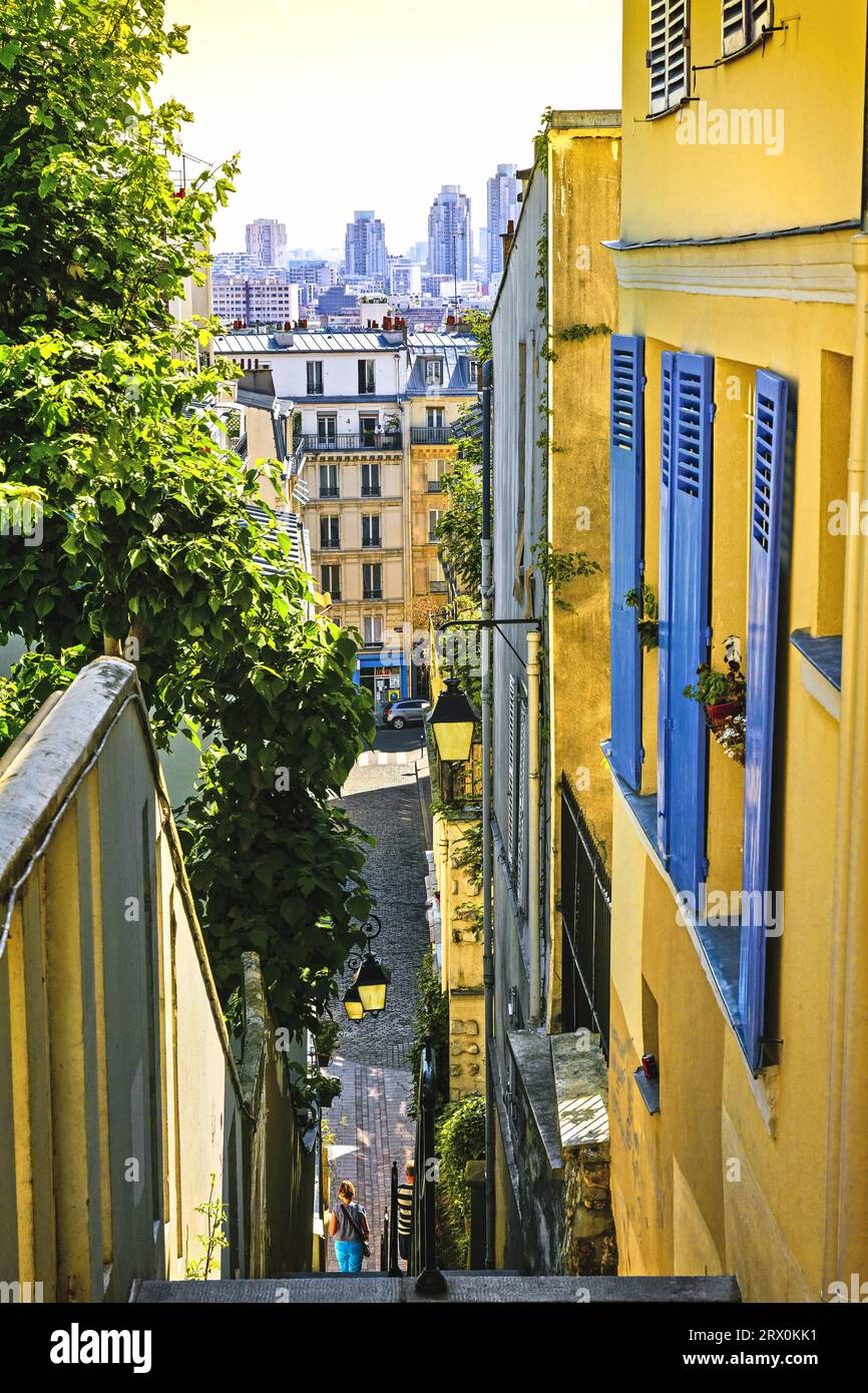 FRANCE. PARIS (75) 18E ARRONDISSEMENT. MONTMARTRE.L'ESCALIER DU PASSAGE COTTIN Banque D'Images