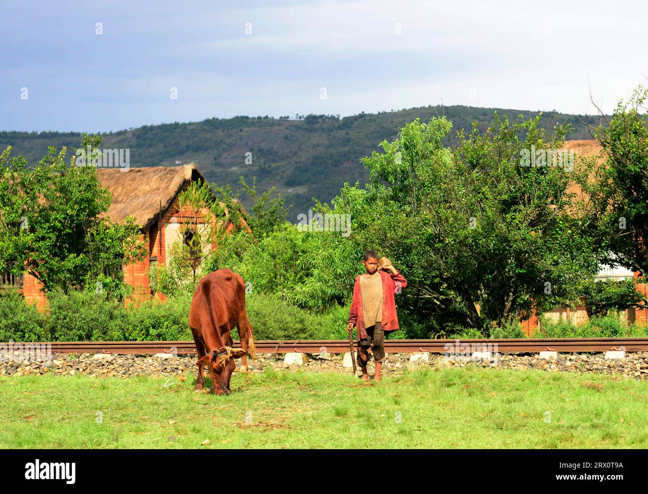 Un garçon malgache debout avec sa vache près de son village dans le centre de Madagascar. Banque D'Images