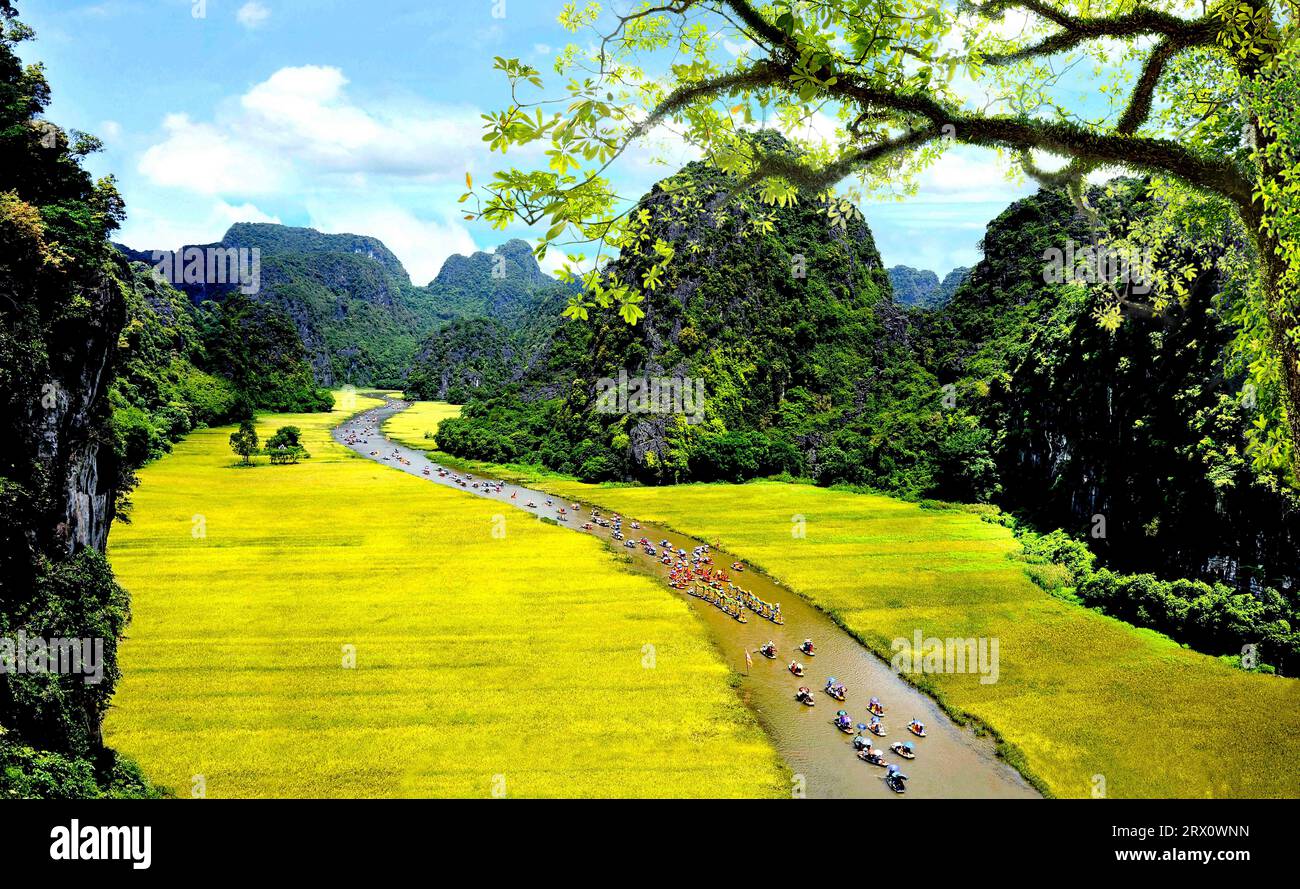 Phong Cảnh Việt Nam Banque D'Images