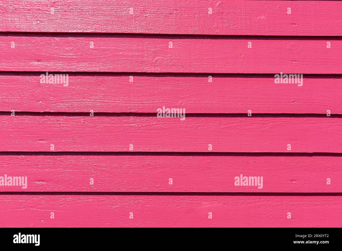 Rote Holzfassade einer Badehütte in den Sanddünen am Strand von Skanör med Falsterbo am Öresund in der Morgensonne, Schonen, Schweden Banque D'Images
