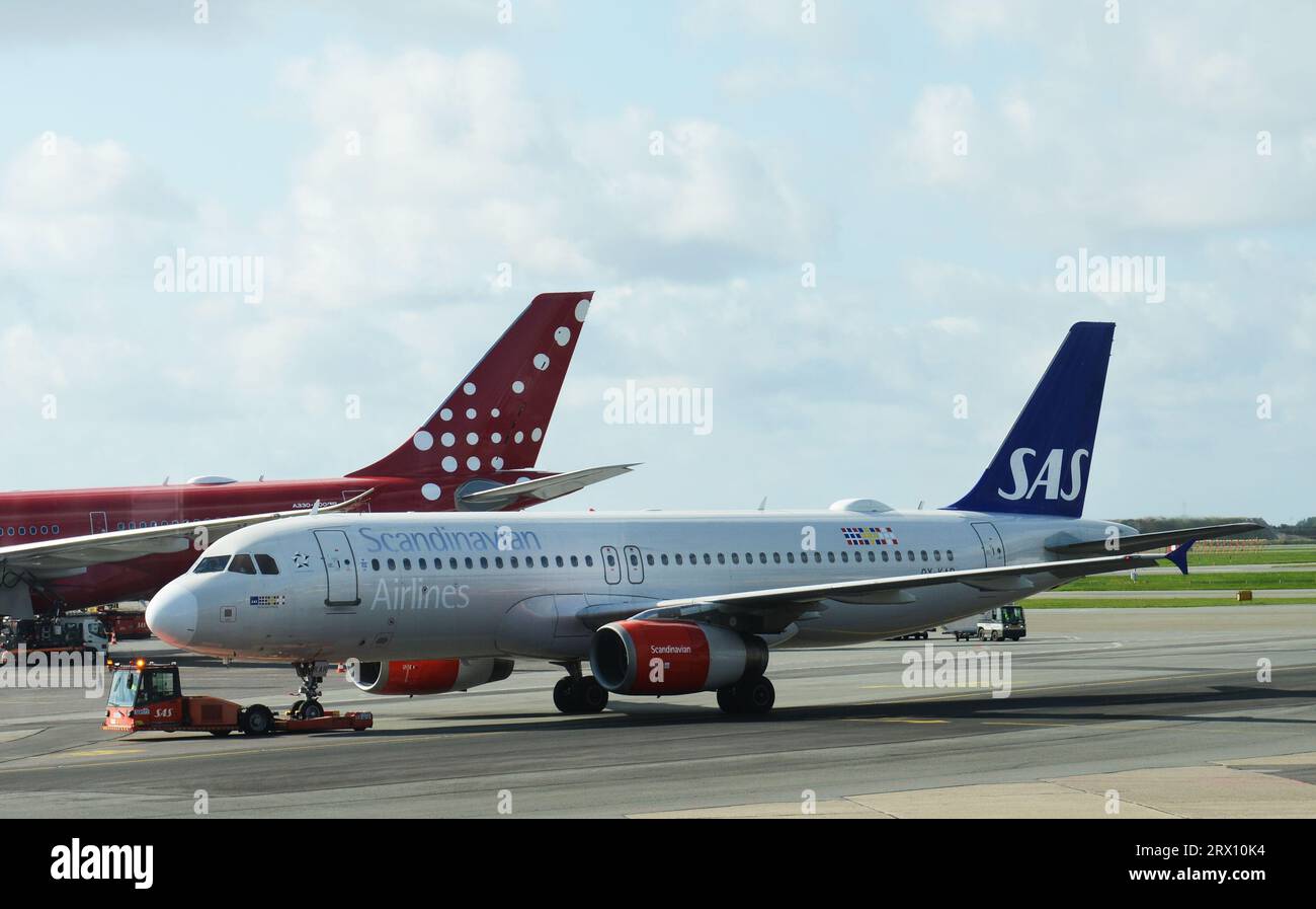 Un avion Scandinavian Airlines à l'aéroport international de Copenhague, Danemark. Banque D'Images