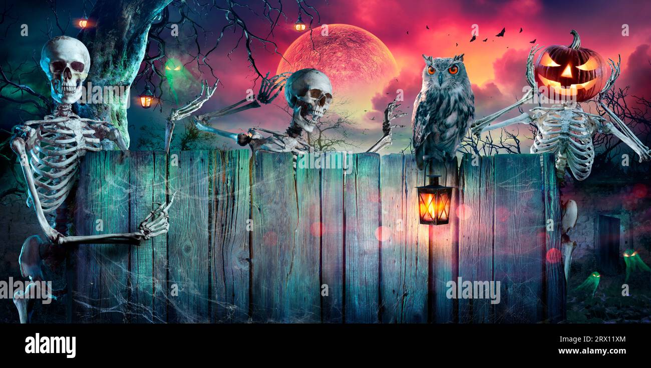 Halloween Party - Skeletons et hibou sur bannière en bois dans Spooky Night at Moonlight - ne contient que Moon 3D Rendering - de vrais plans de composition Banque D'Images