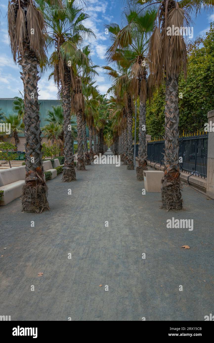 Promenade publique à Malaga, Parmeral de las Sorpresas en journée ensoleillée. Architecture verte urbaine moderne, ingénierie moderne des jardins urbains verts, Malaga Banque D'Images