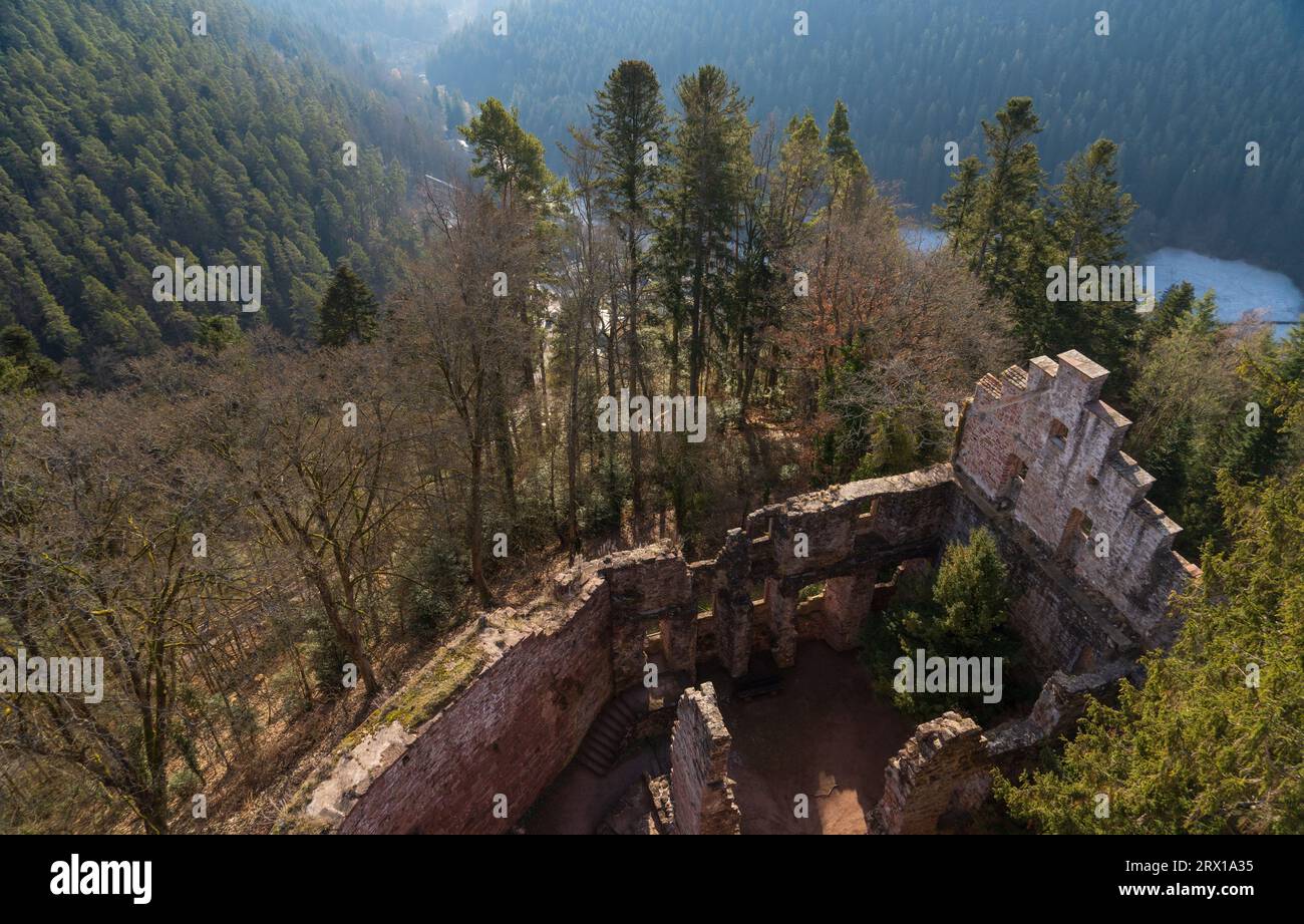 Les ruines du château de Zavelstein, à Bad Teinach-Zavelstein, Bade-Württemberg, Allemagne Banque D'Images