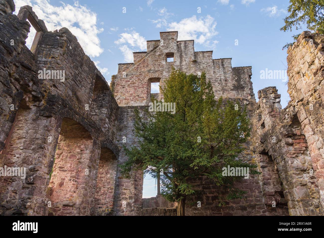 Les ruines du château de Zavelstein, à Bad Teinach-Zavelstein, Bade-Württemberg, Allemagne Banque D'Images